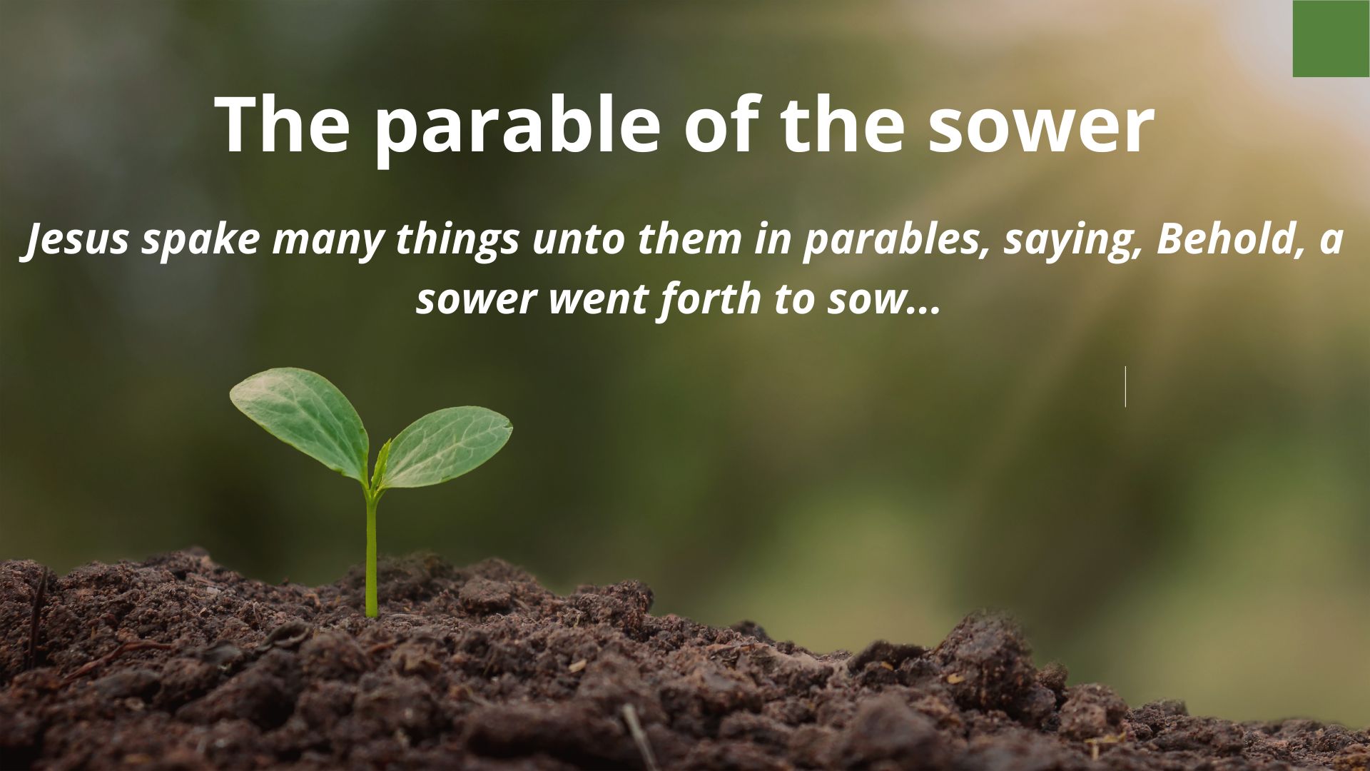 The parable of the sower
