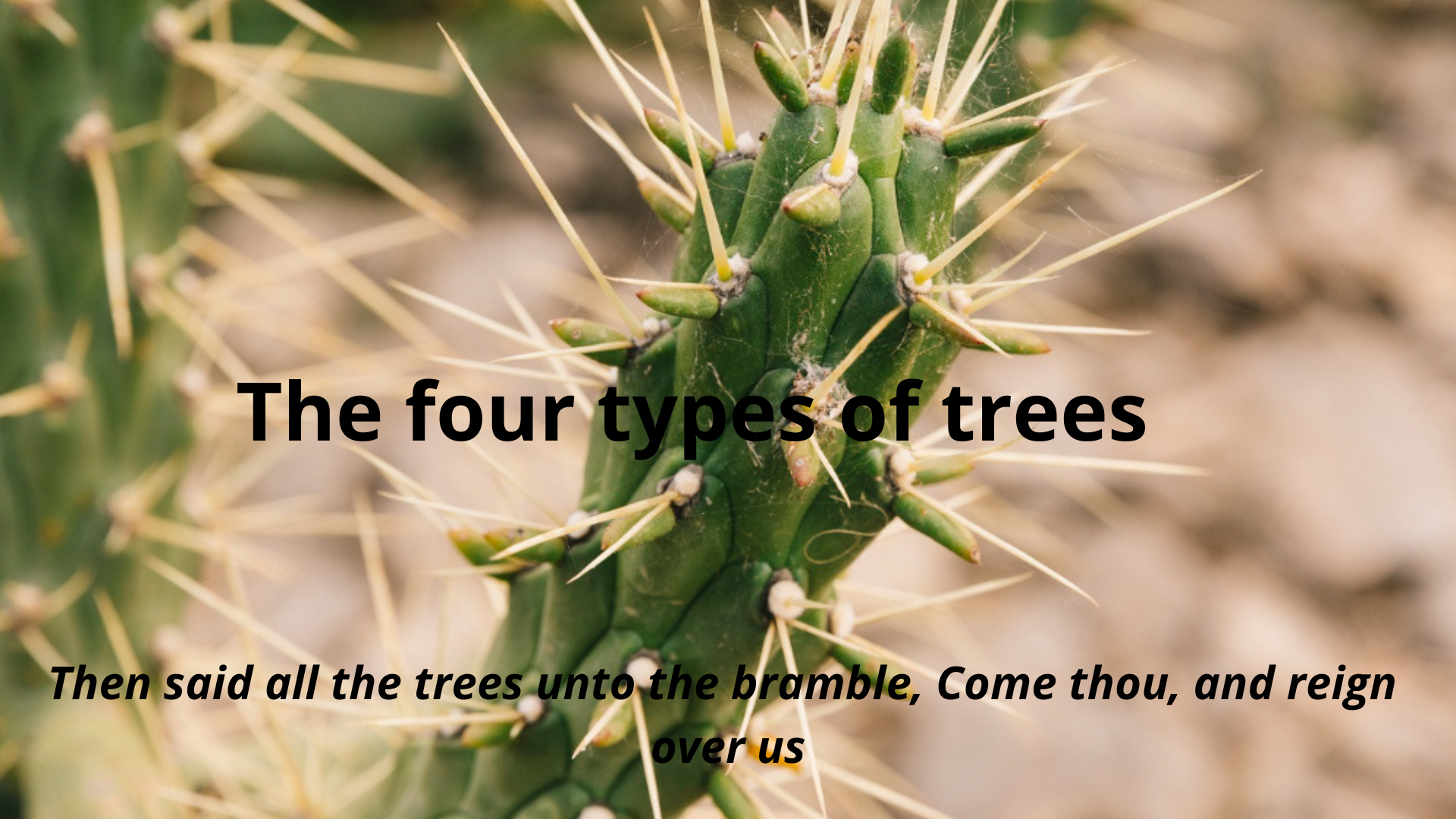 The four types of trees